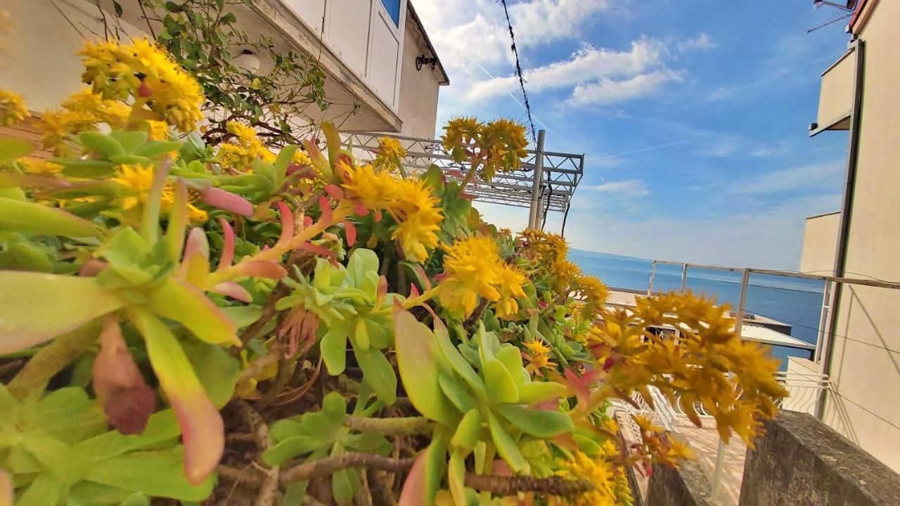 אומיס Apartment Cedo מראה חיצוני תמונה