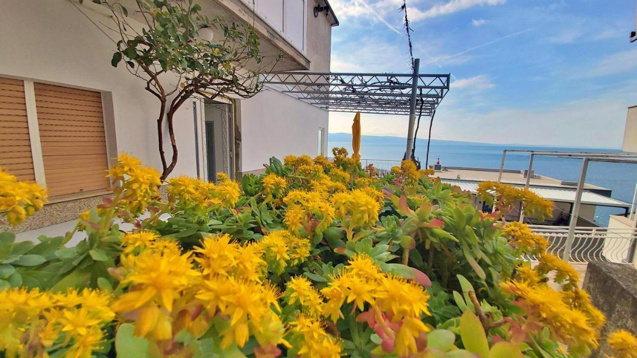 אומיס Apartment Cedo מראה חיצוני תמונה